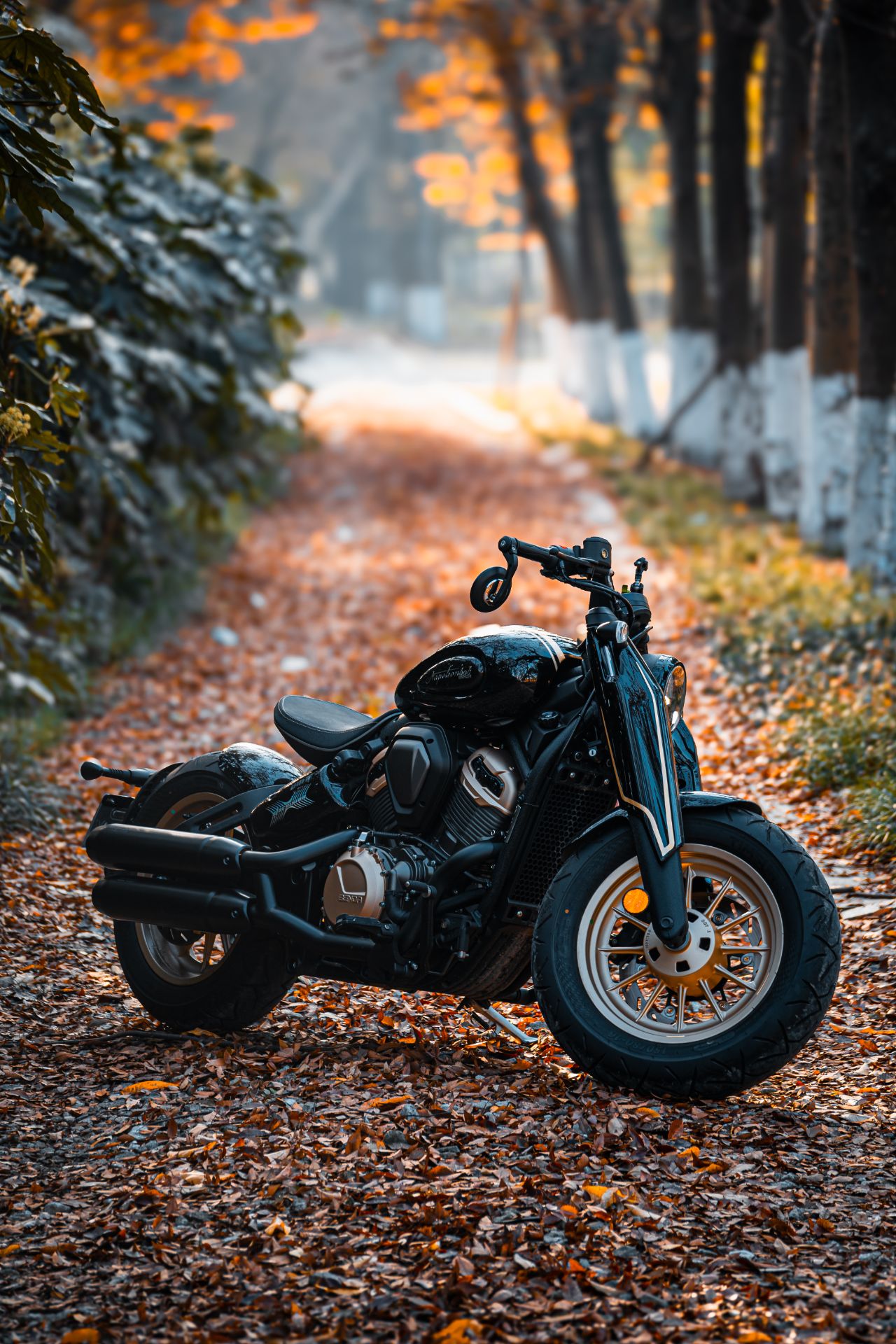 2025 Benda NapoleonBob 500 in Woodstock, Georgia - Photo 8